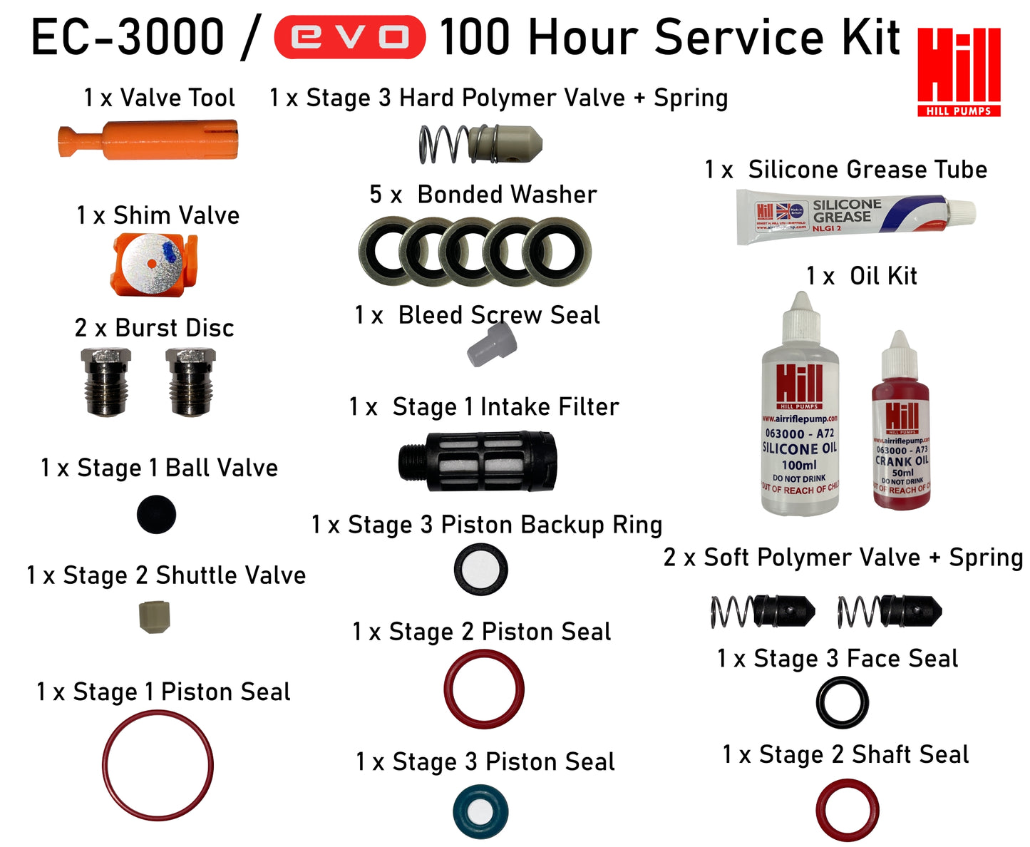 100 Hour Service Kit for the EC-3000 and EVO-310 Hill Electric Air Compressor Pump