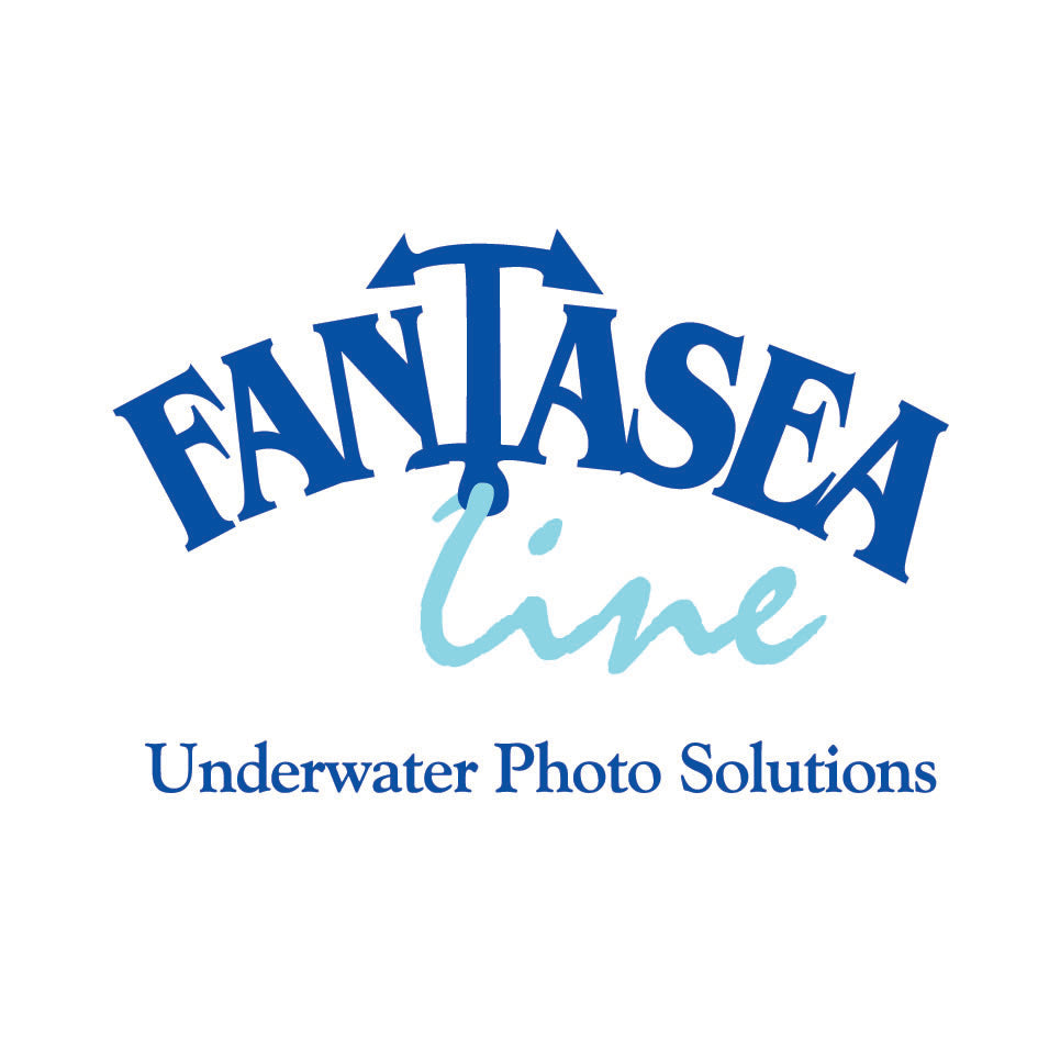 Fantasea Lens Port Cover for Camera Housings (Type F)