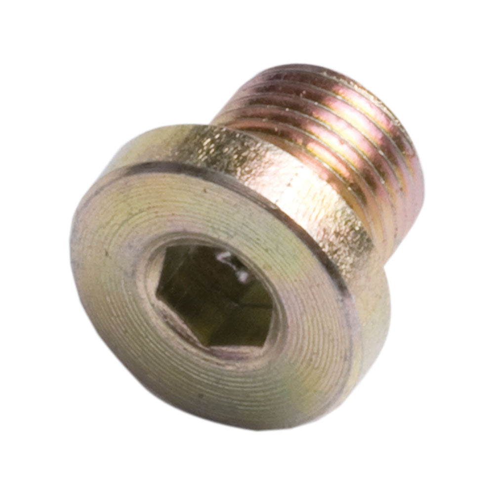 Socket Head Plugs