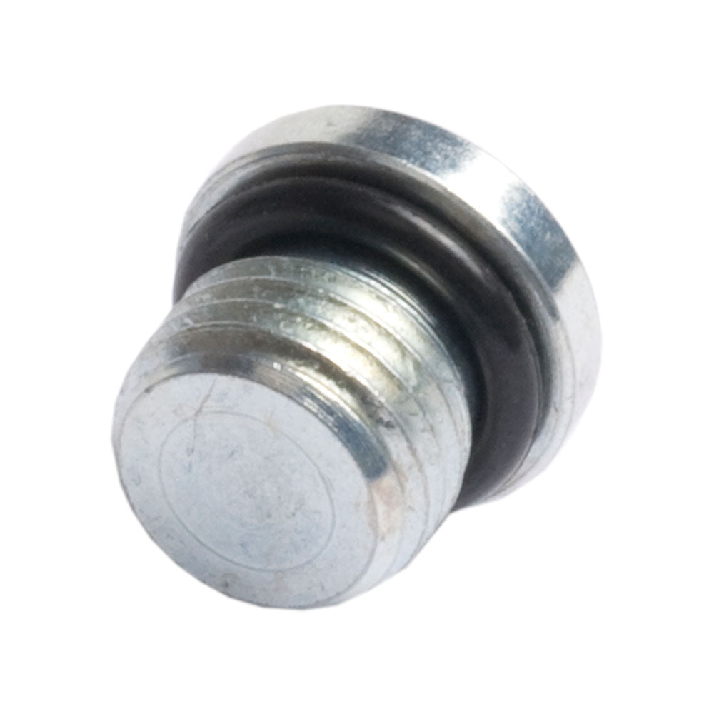 Socket Head Plugs