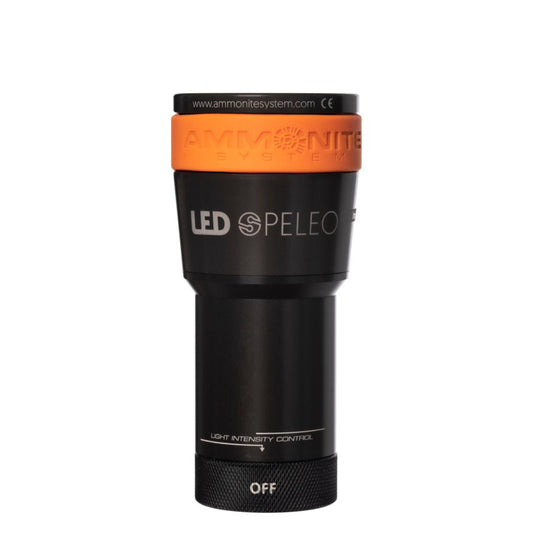 Ammonite LED SPELEO Head Only